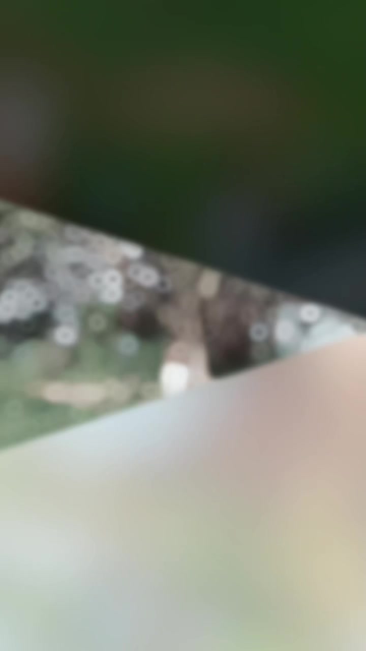 @👑𝑩𝒉𝒐𝒋𝒑𝒖𝒓𝒊𝒃𝒂𝒖𝒘𝒂👑