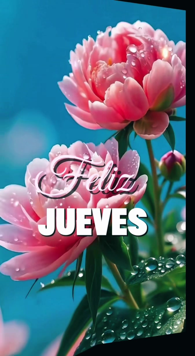 @Palomalucia_24 Cuenta Oficial