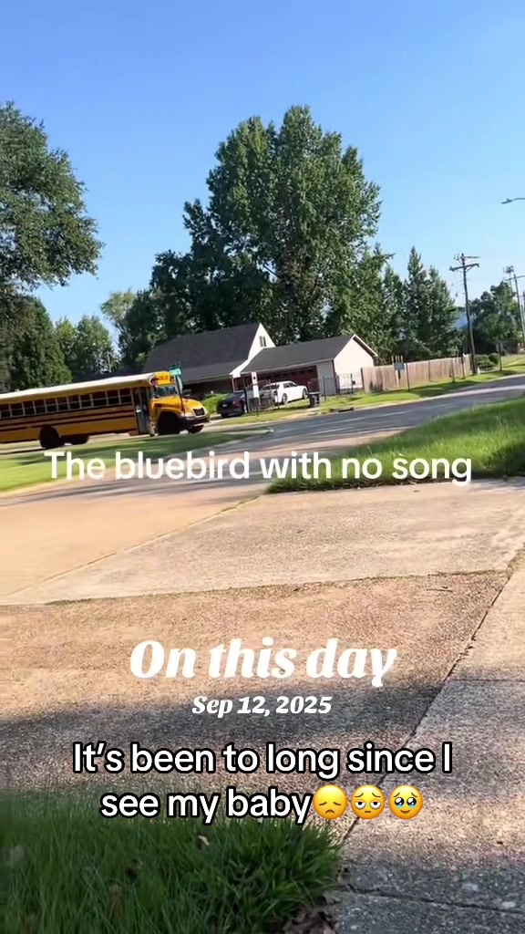 @Bluebirdbus302