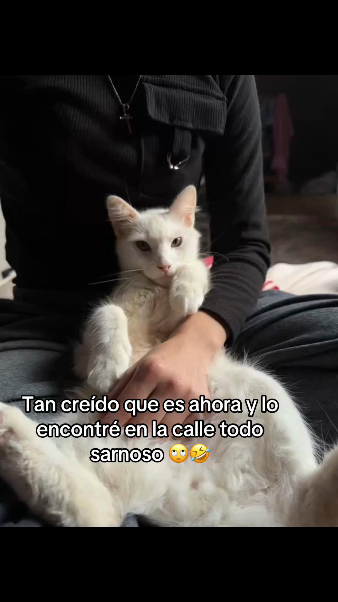 @luchi_bj_