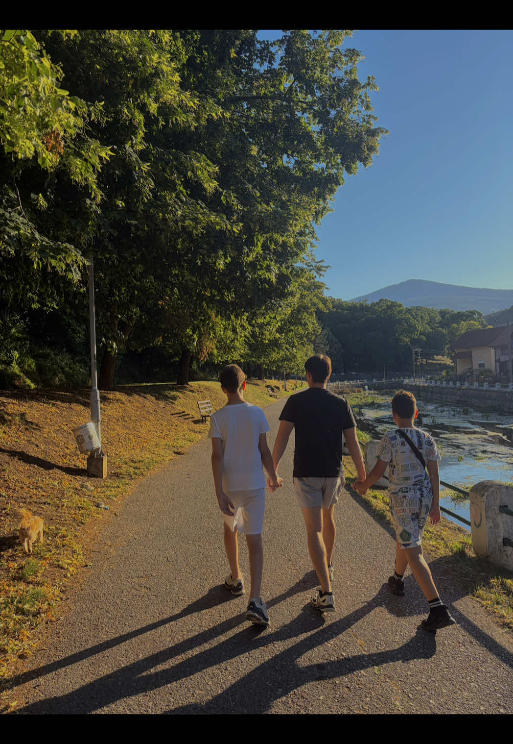 @Milica Zlatanović🇺🇸🇷🇸