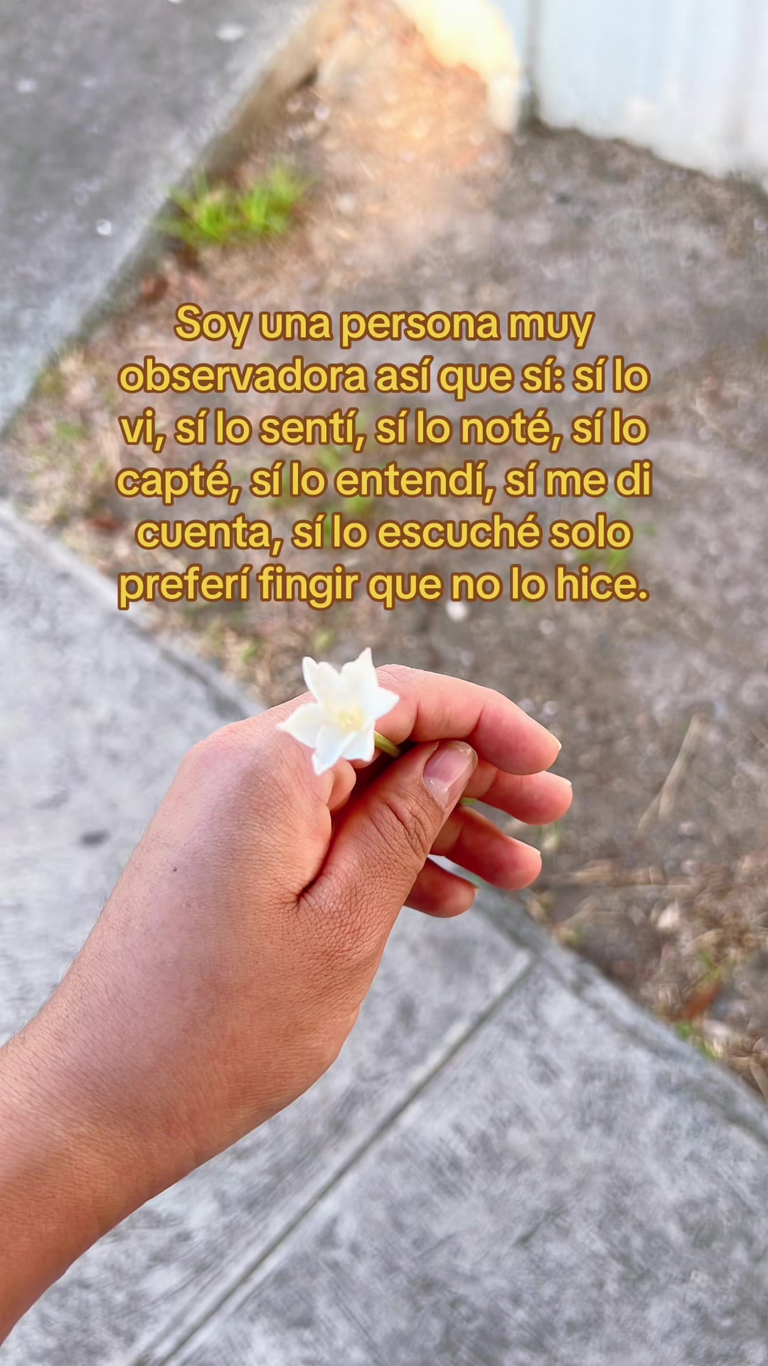 @Alis🌸🌸💓🎀