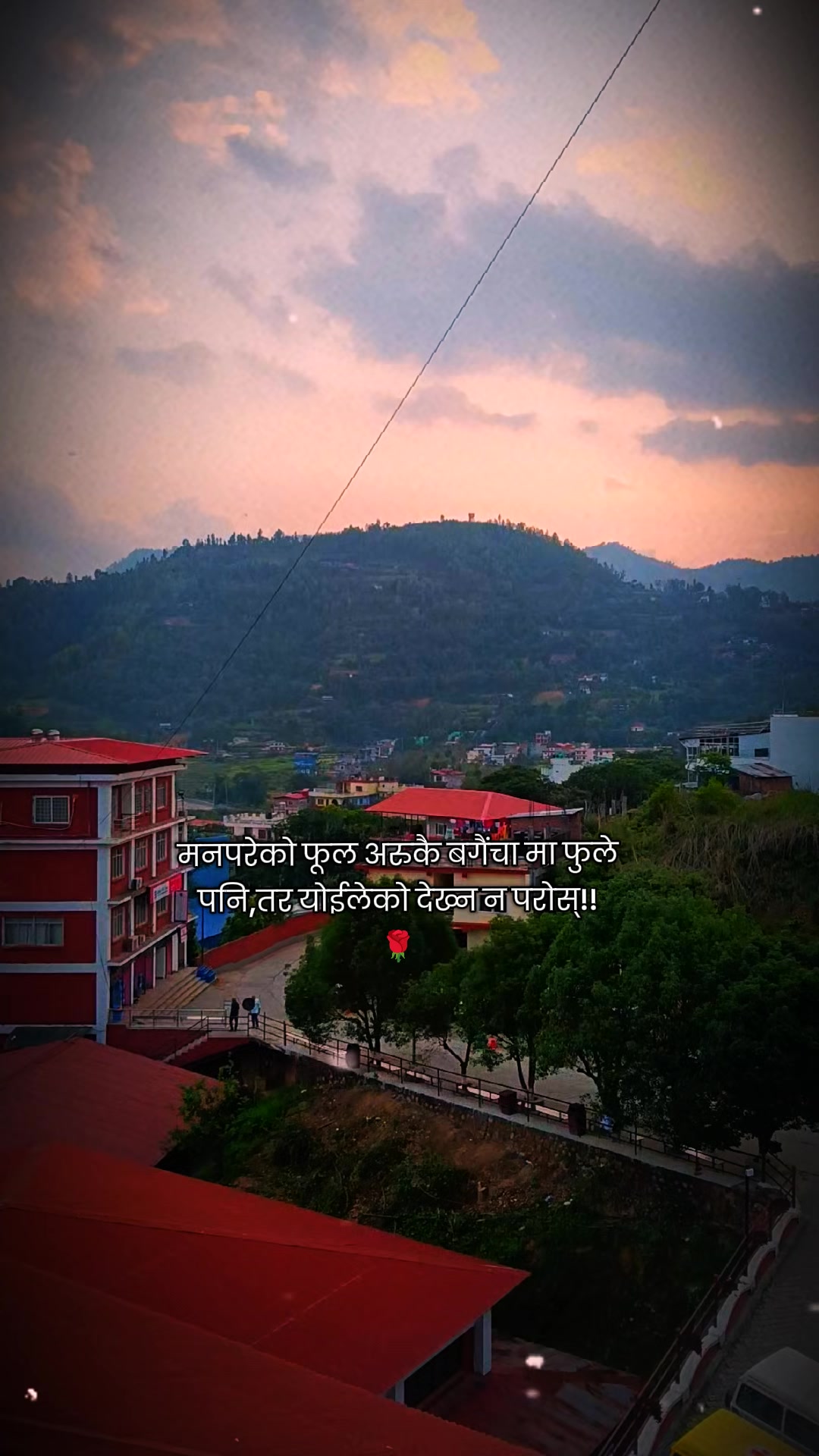 @Shayari Vibes