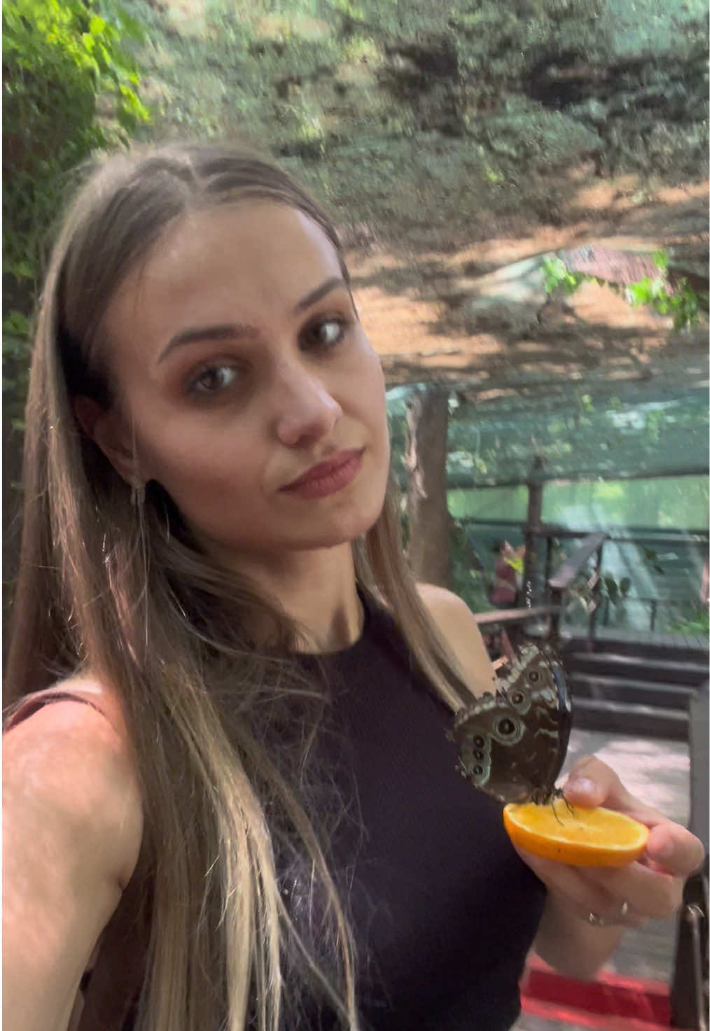 @CarinaPopovici