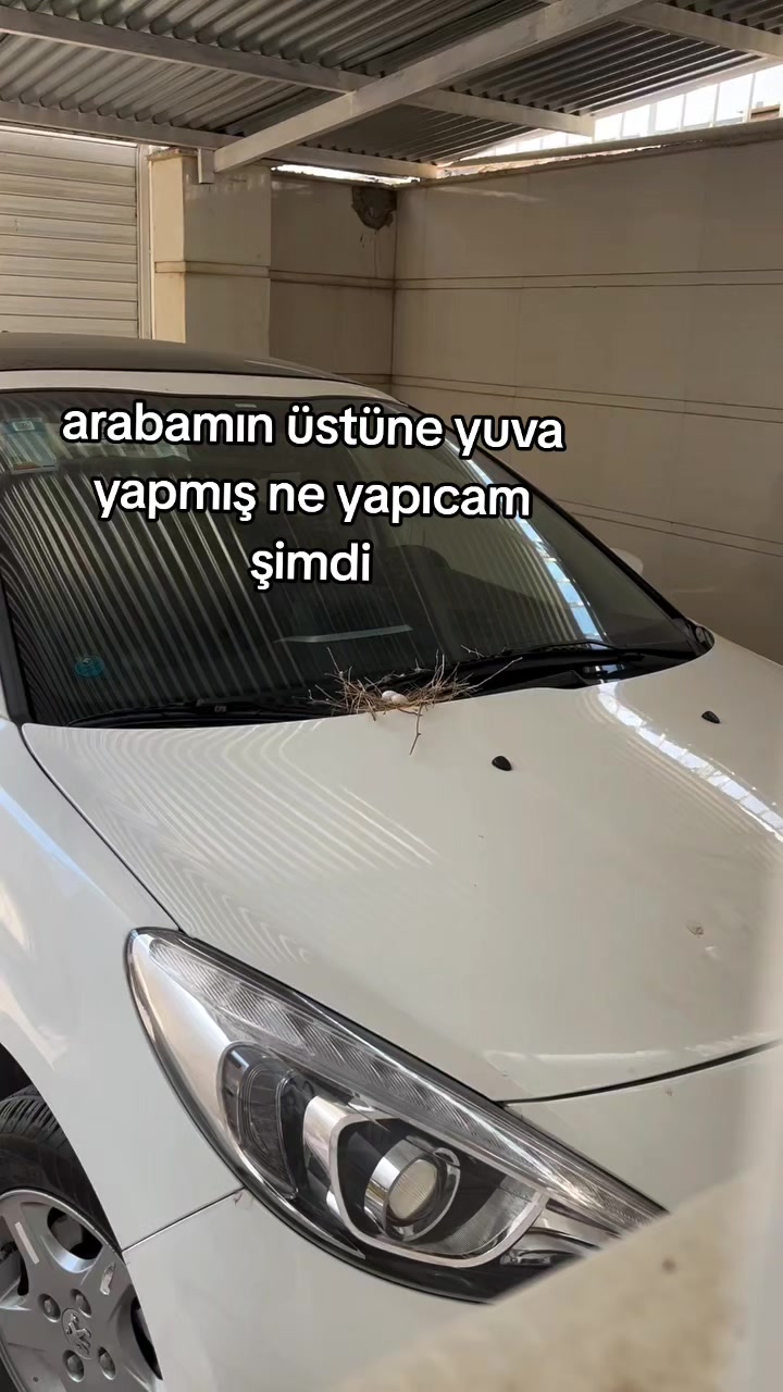 @rolland