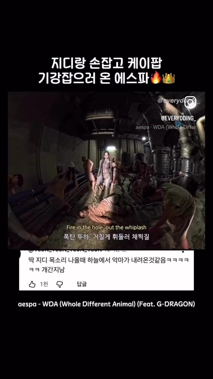 @카리나 팬 my