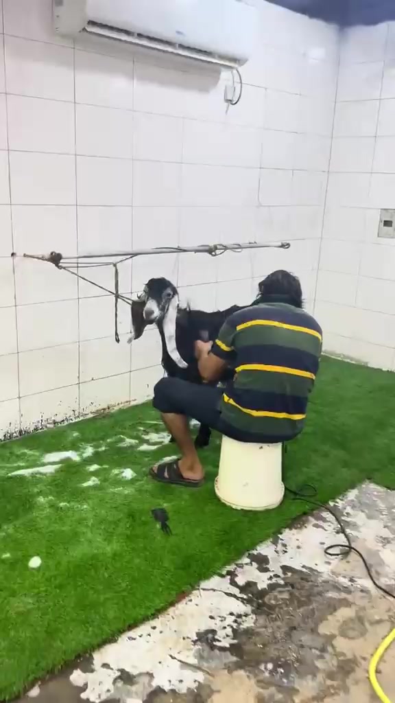 @mohamed_ksa0