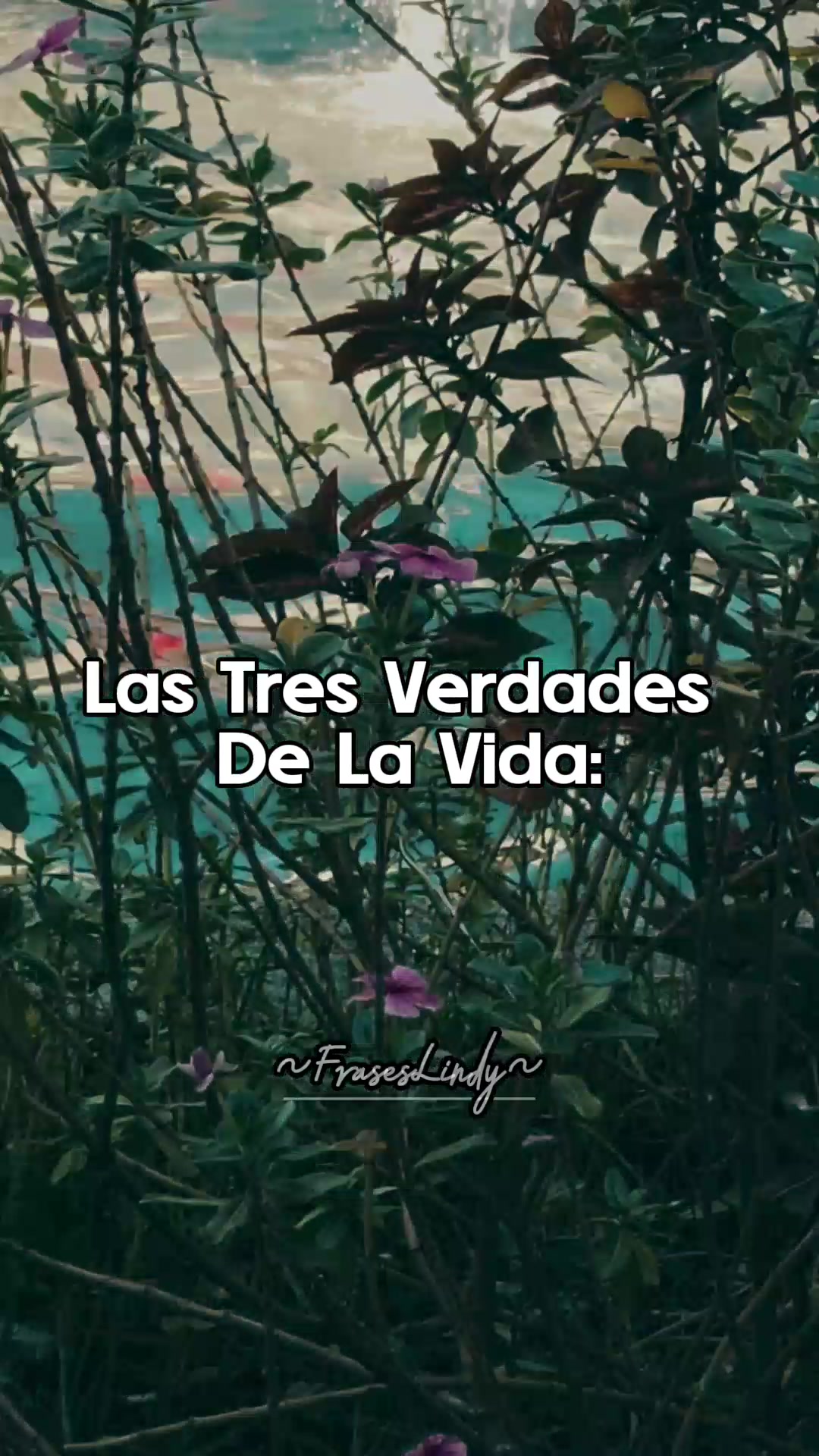 @fecho_57