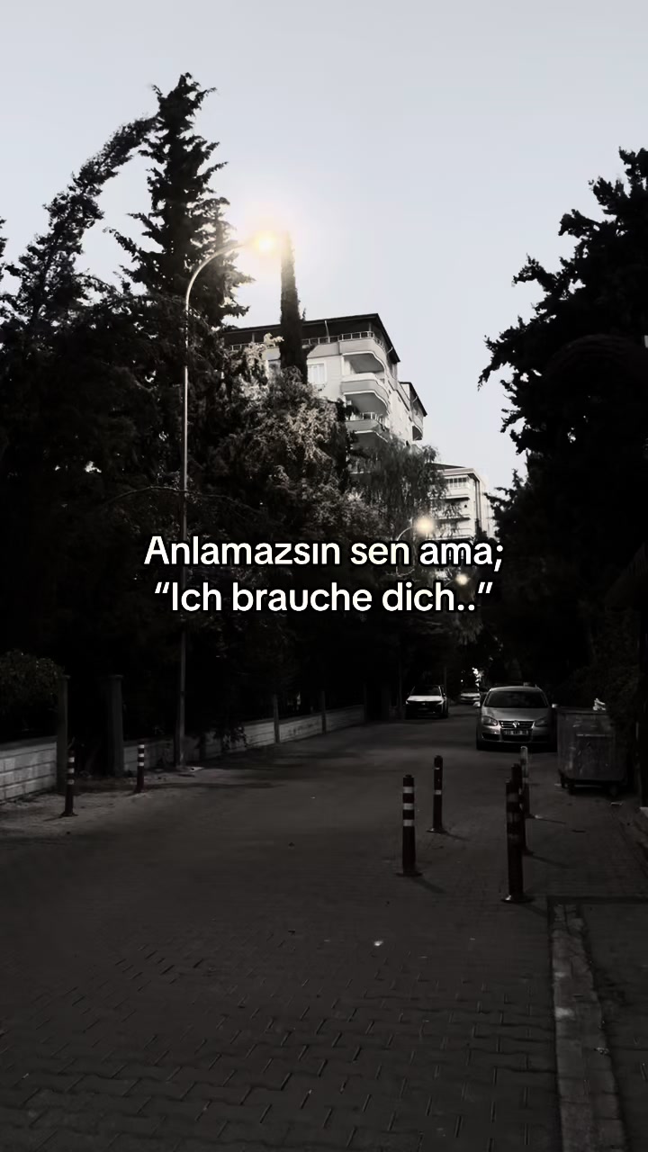@Sevdas_whispers🥀