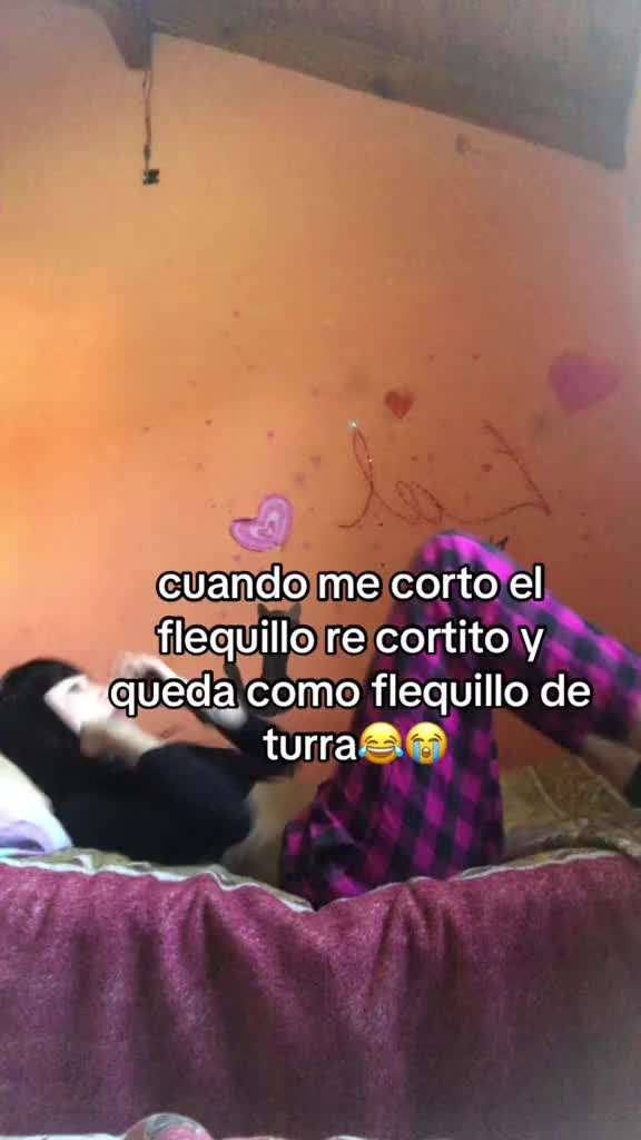 @geral