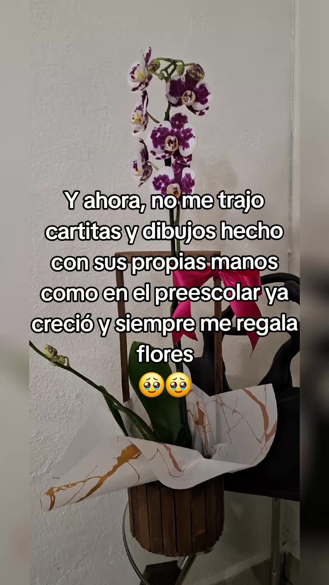 @Eva Maria Poblette