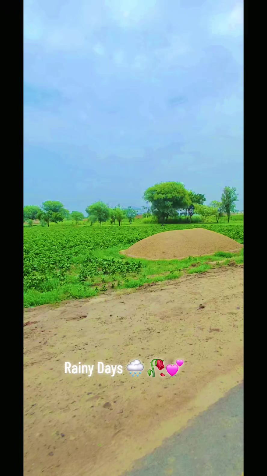 @Muhammad Asif Shah🇵🇰🇸🇦