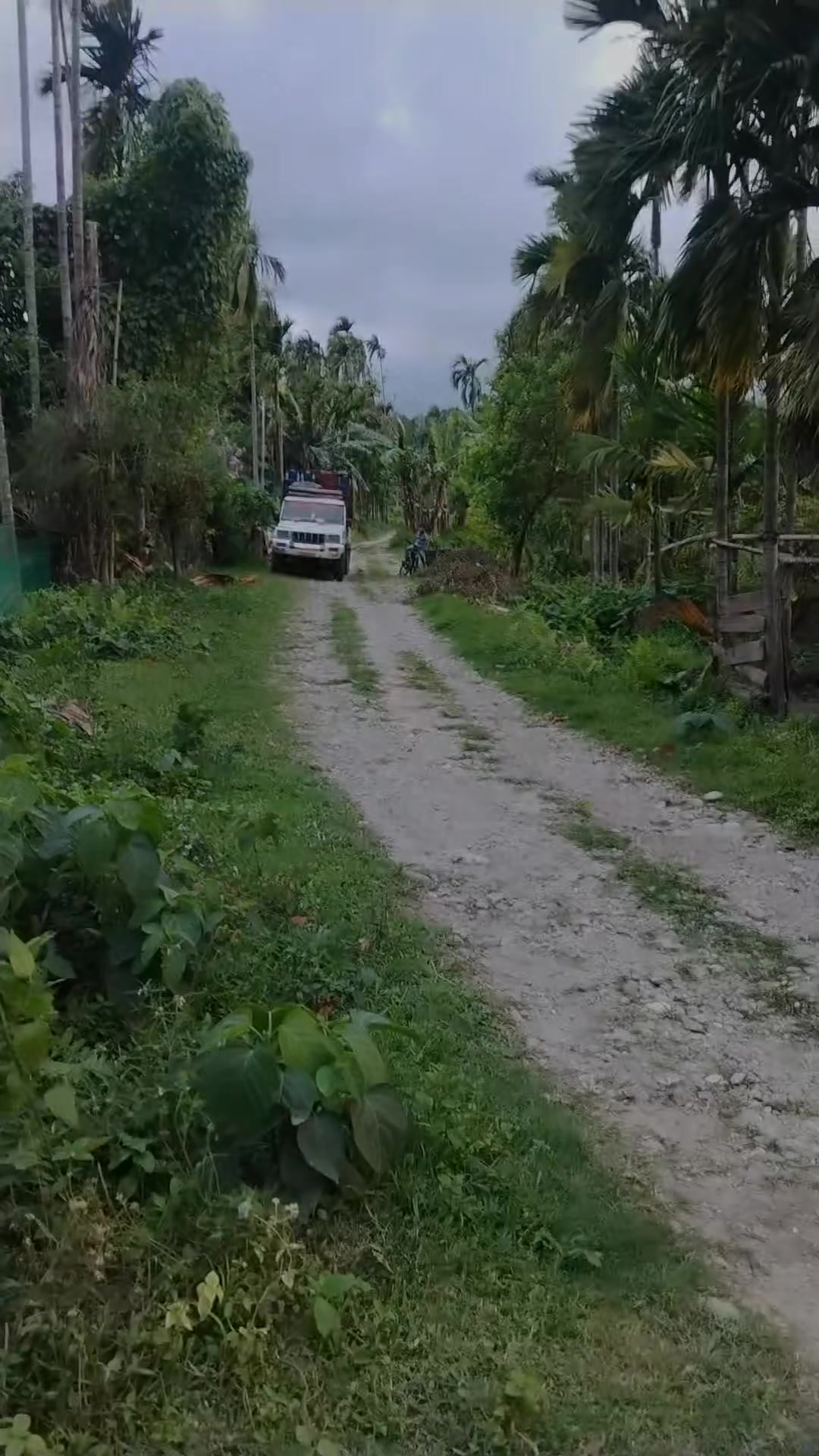 @༺MR.PRADHAN꧂ 🇳🇵,
