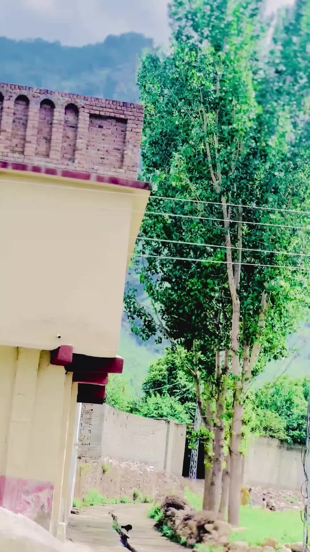@ꚠ𝗔𝗬𝗔𝗦𝗛‿⁸⁰⁴𓍯𓂃𓏧