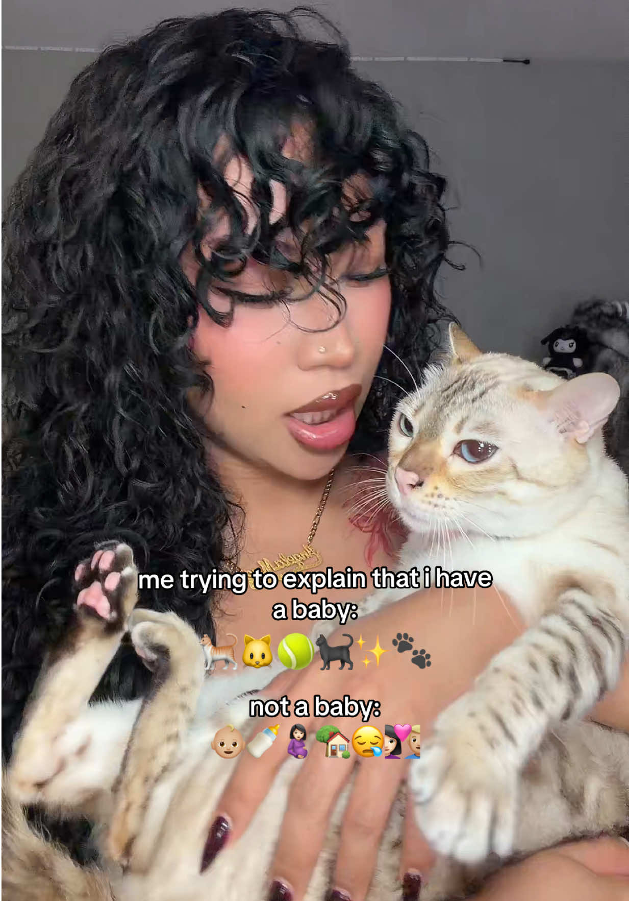 @Mirajane The Bengal🐾