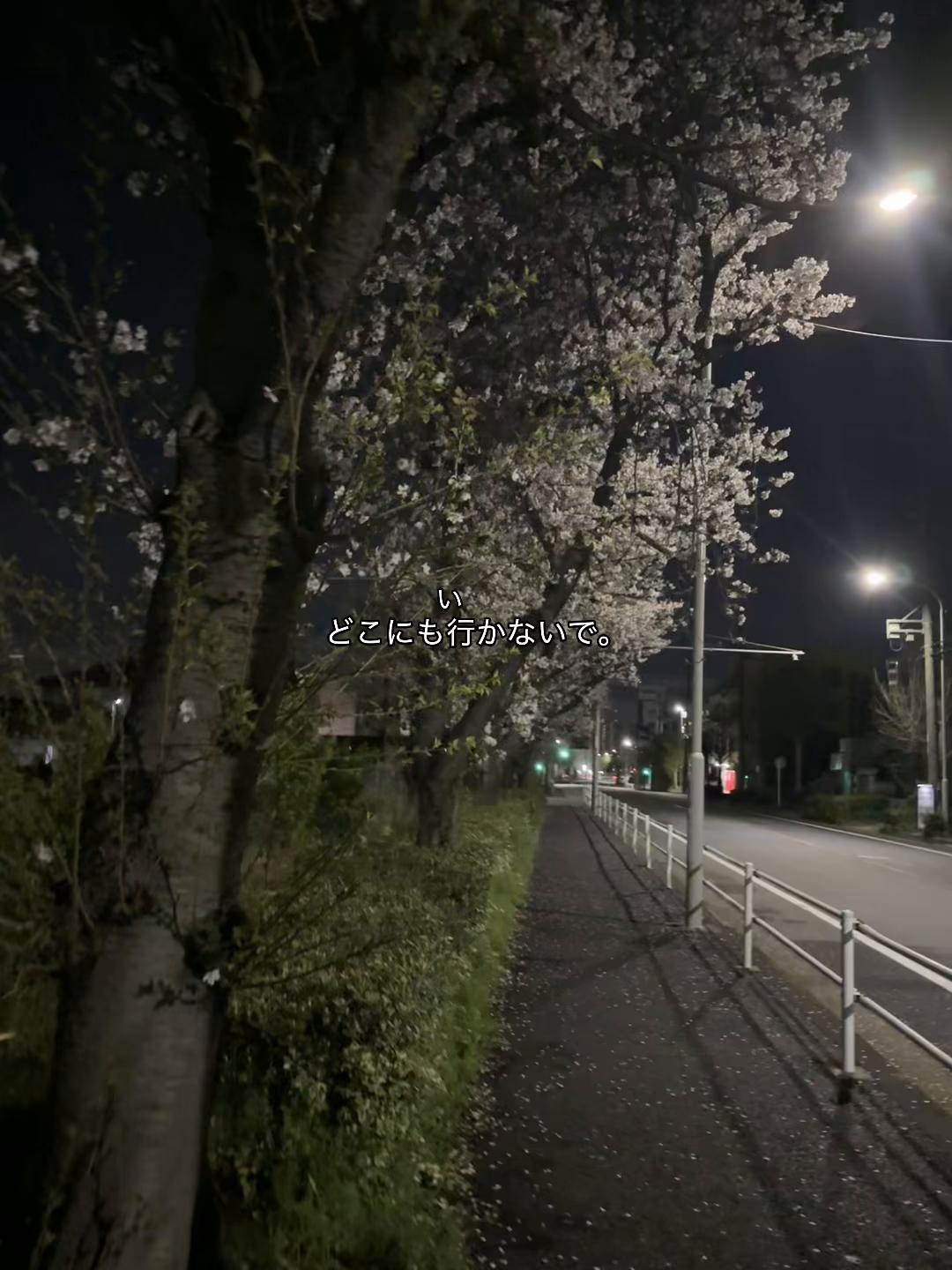 @zeitaro