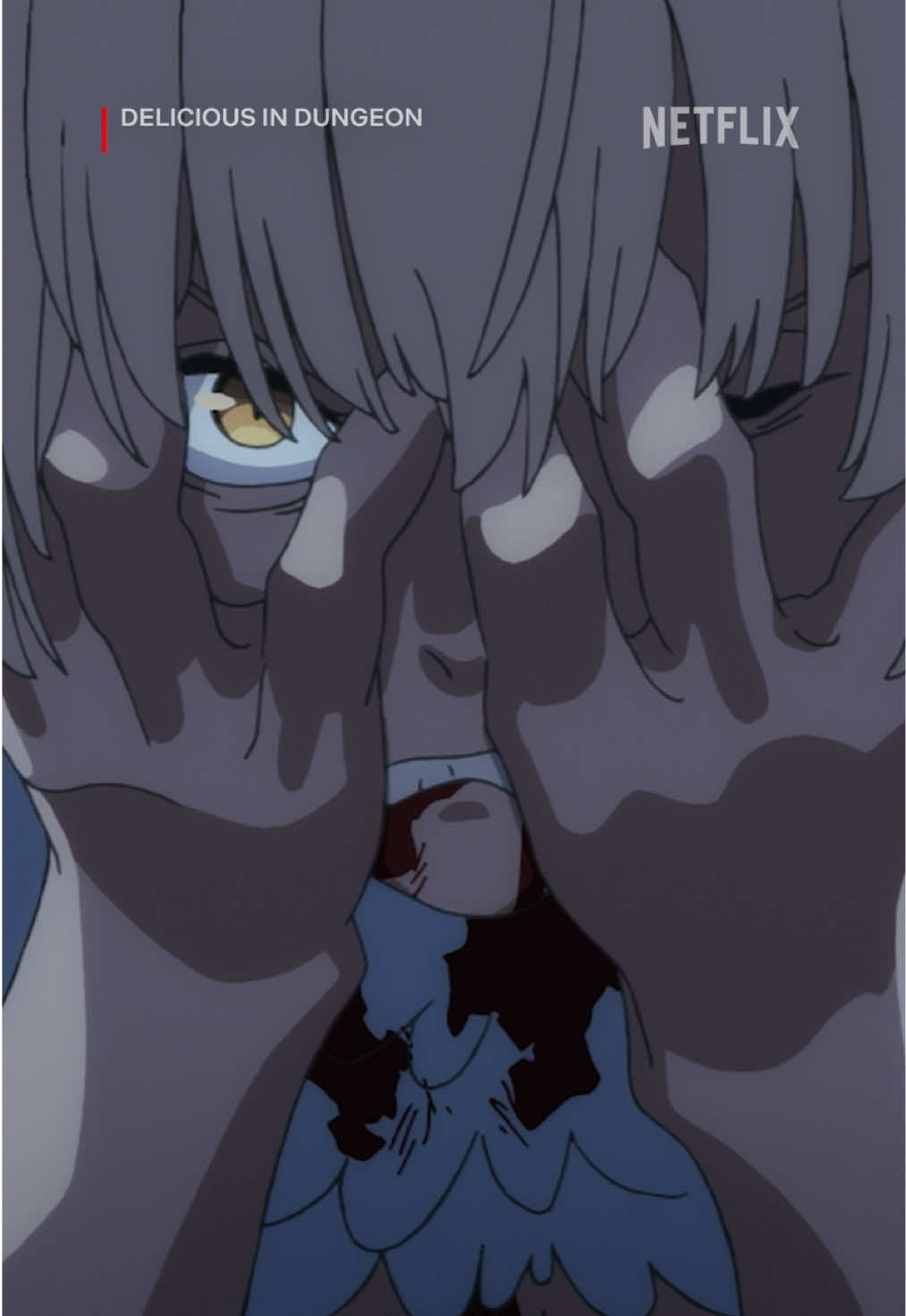@netflixanime
