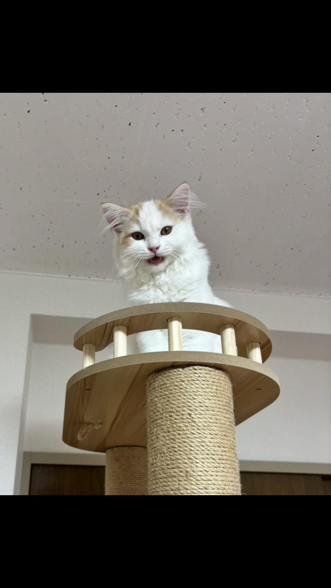 @Kiki