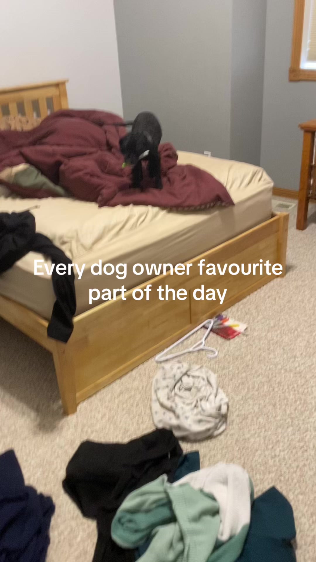 @Eᥫ᭡.