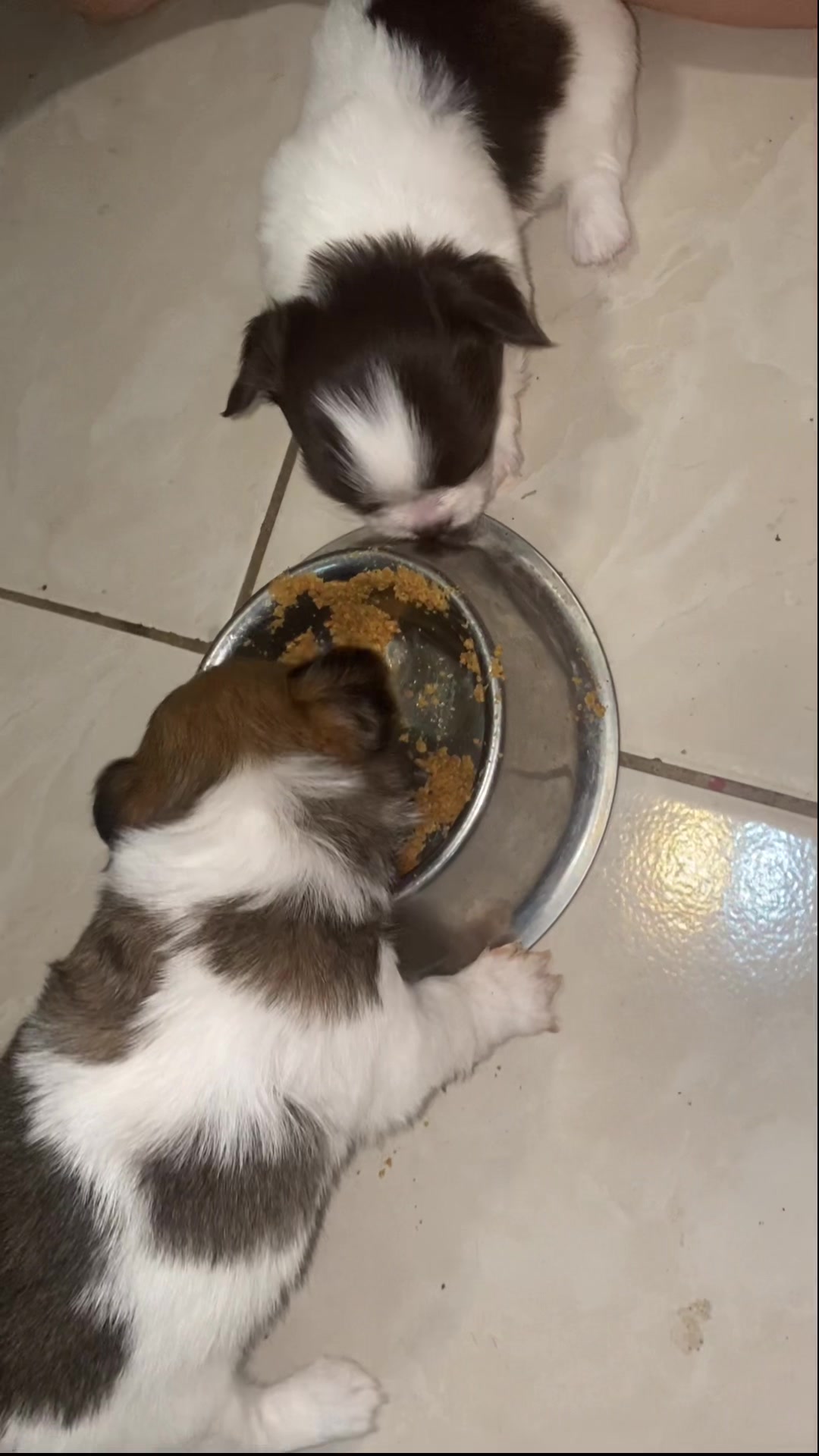 @Kira y Luna Benavides