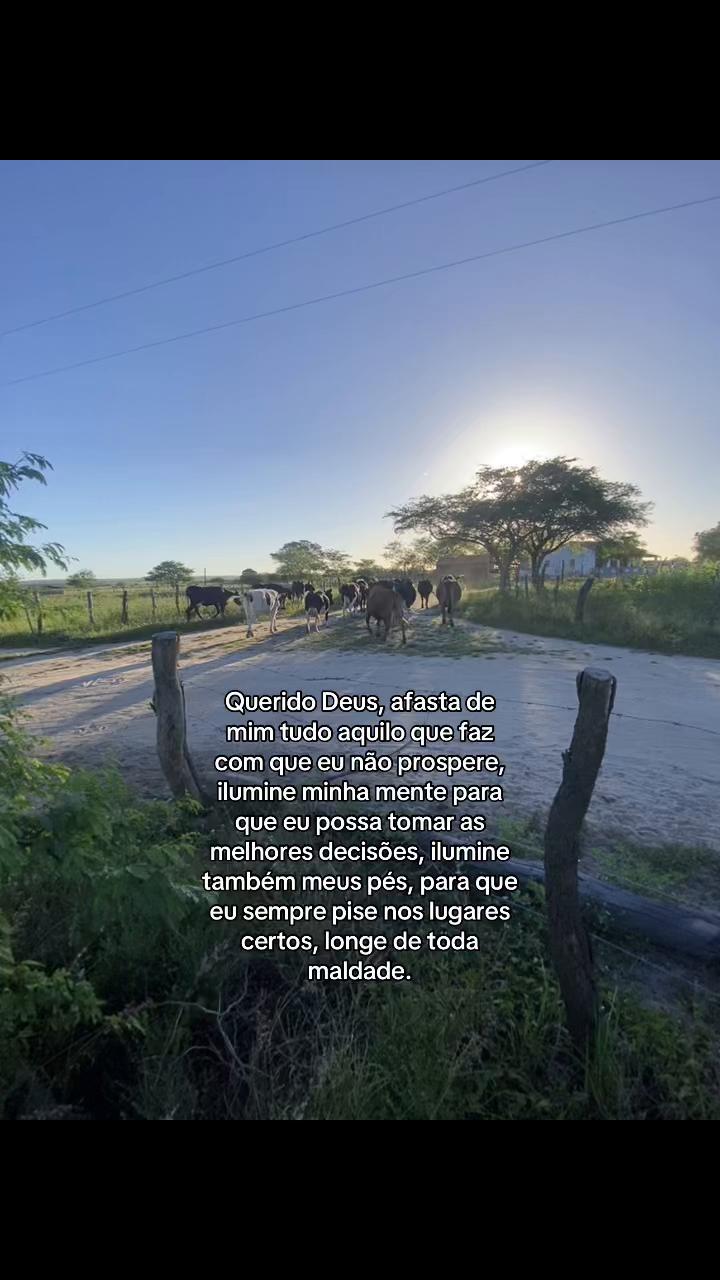 @fabioguilherme13