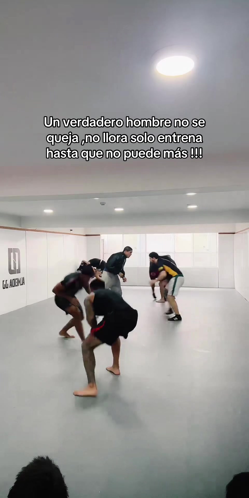 @Elfachero