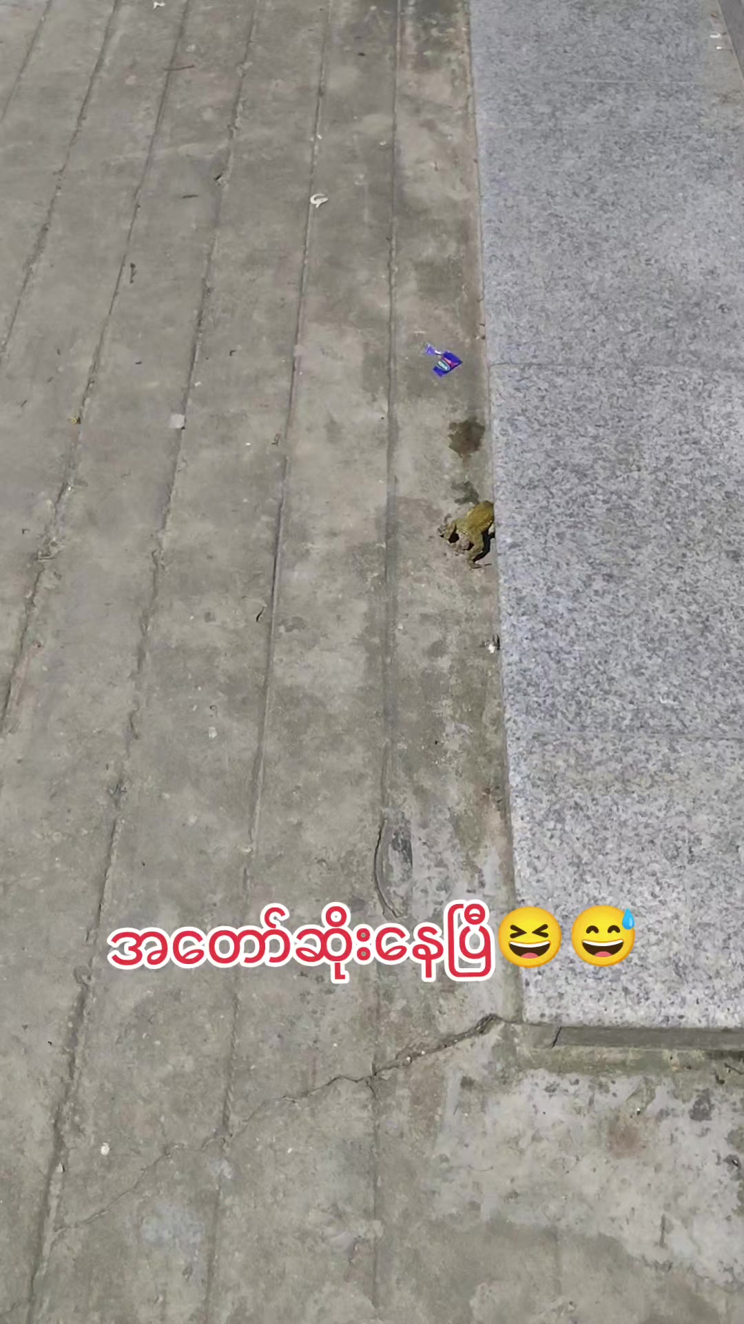 @🇲🇲နောင်လေး🇲🇲 ( TAUNGOO )