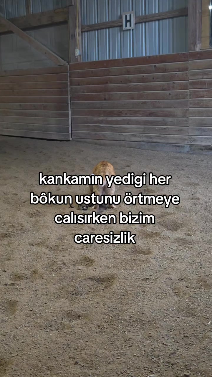 @rolland