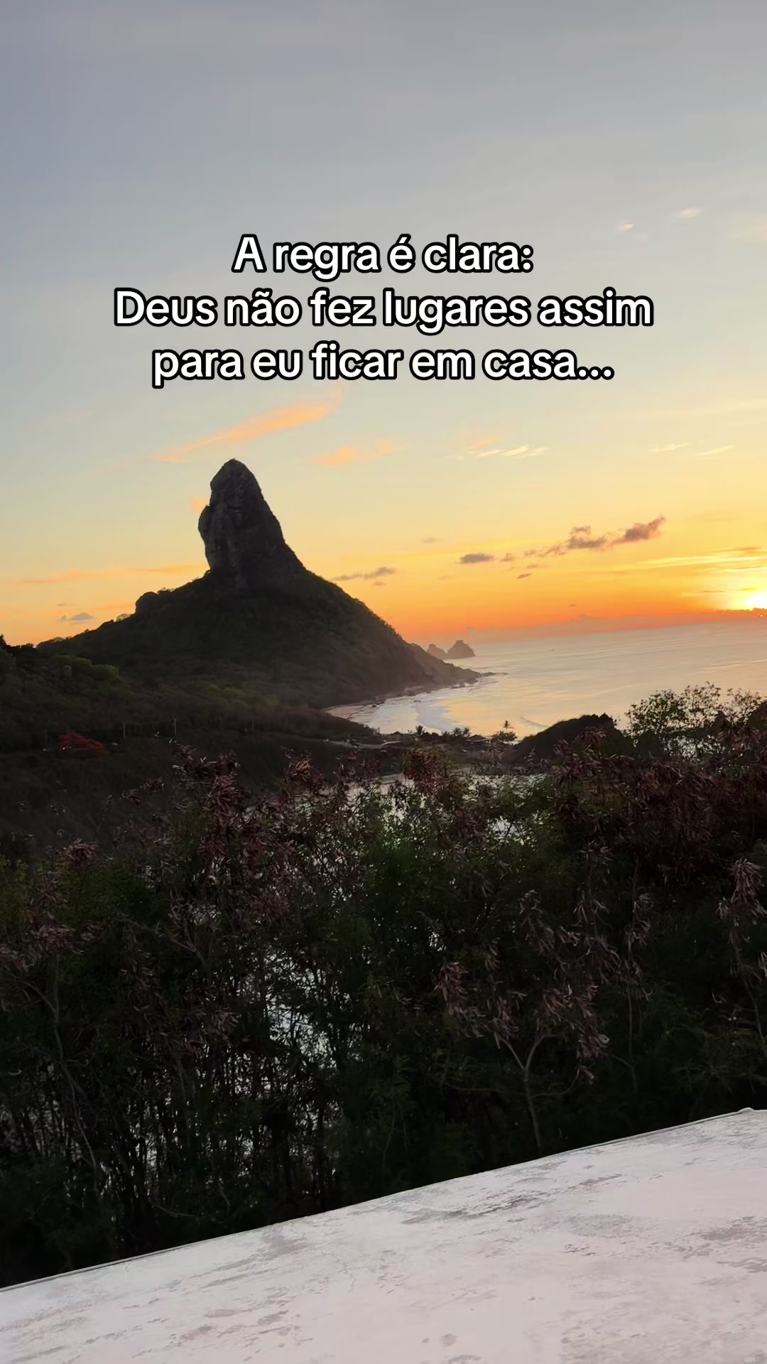 @Evelyn Passoni