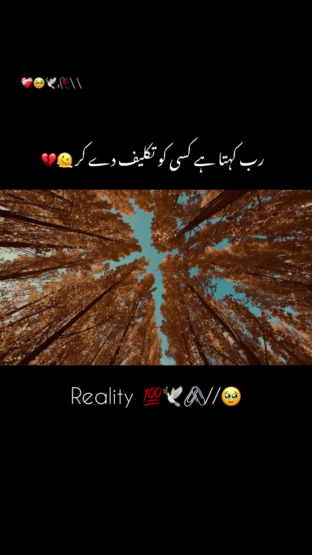 @Khattak 01:)🦅