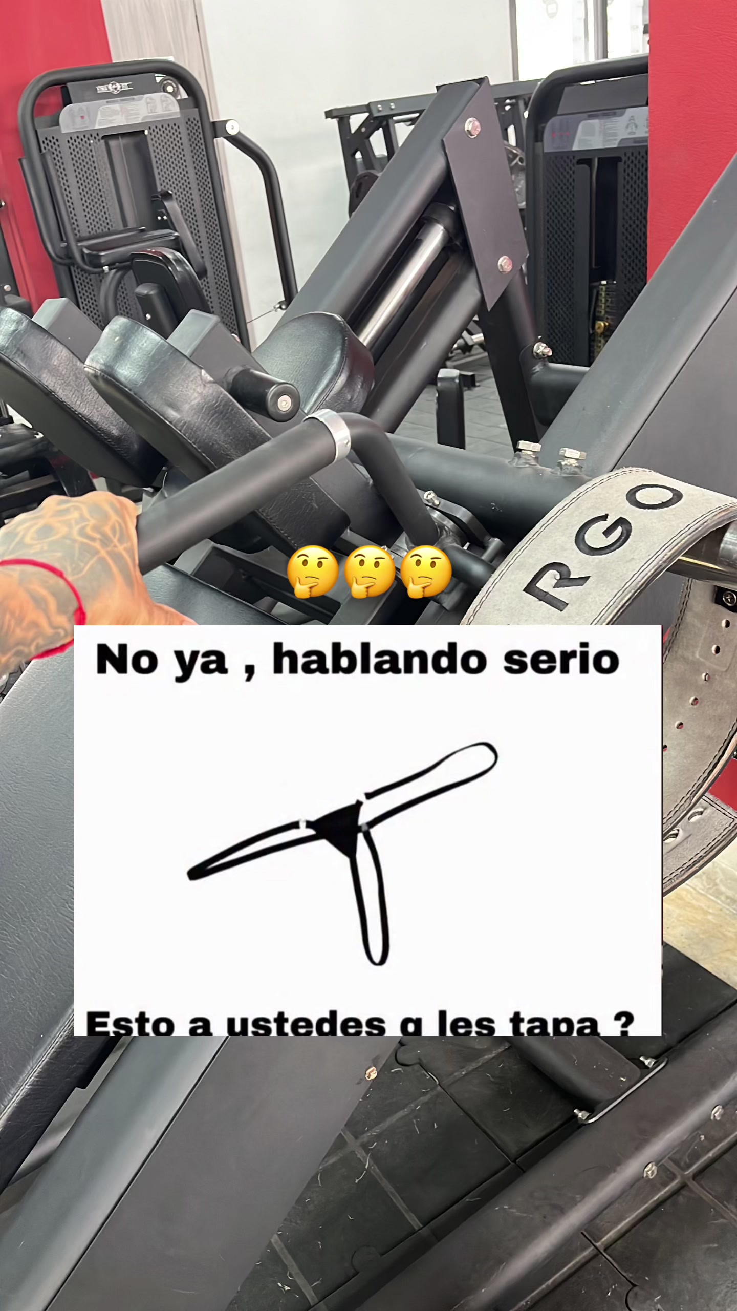 @wiltrainerfit