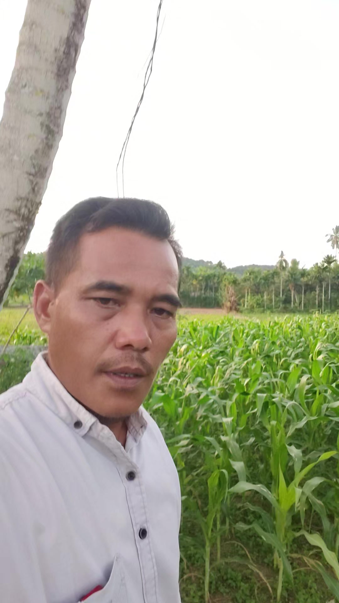 @petani kecil ujung tapsel