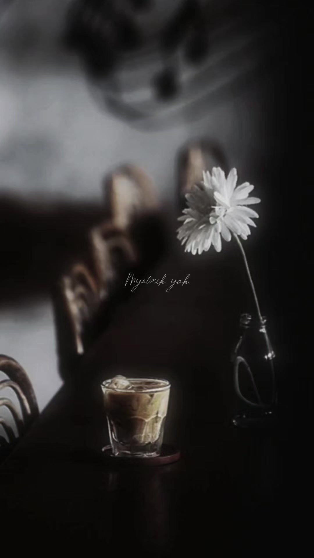 @ꪑꪗꪮ੦ɀỉƙ_ꪗꪖƙ ♪♫♬ 🧬