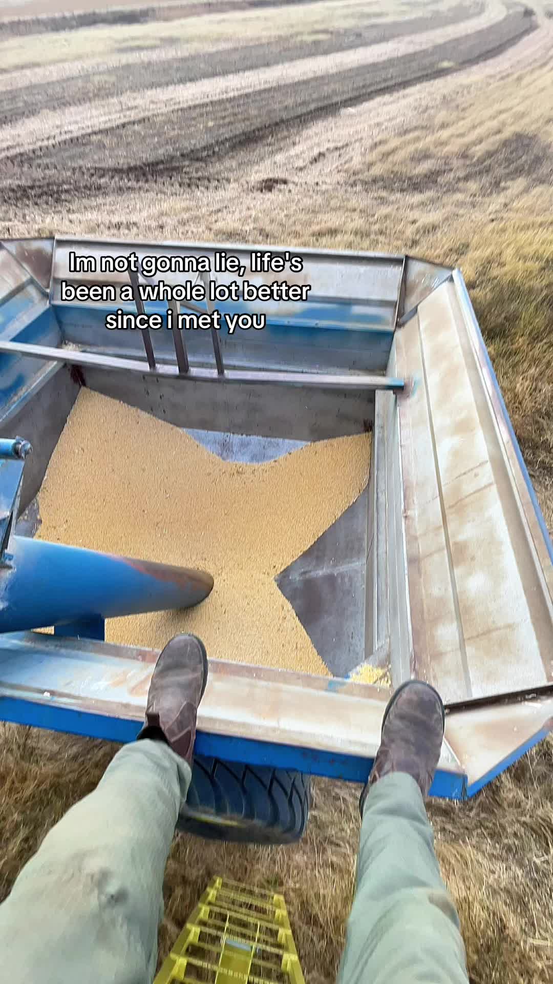 @🌚