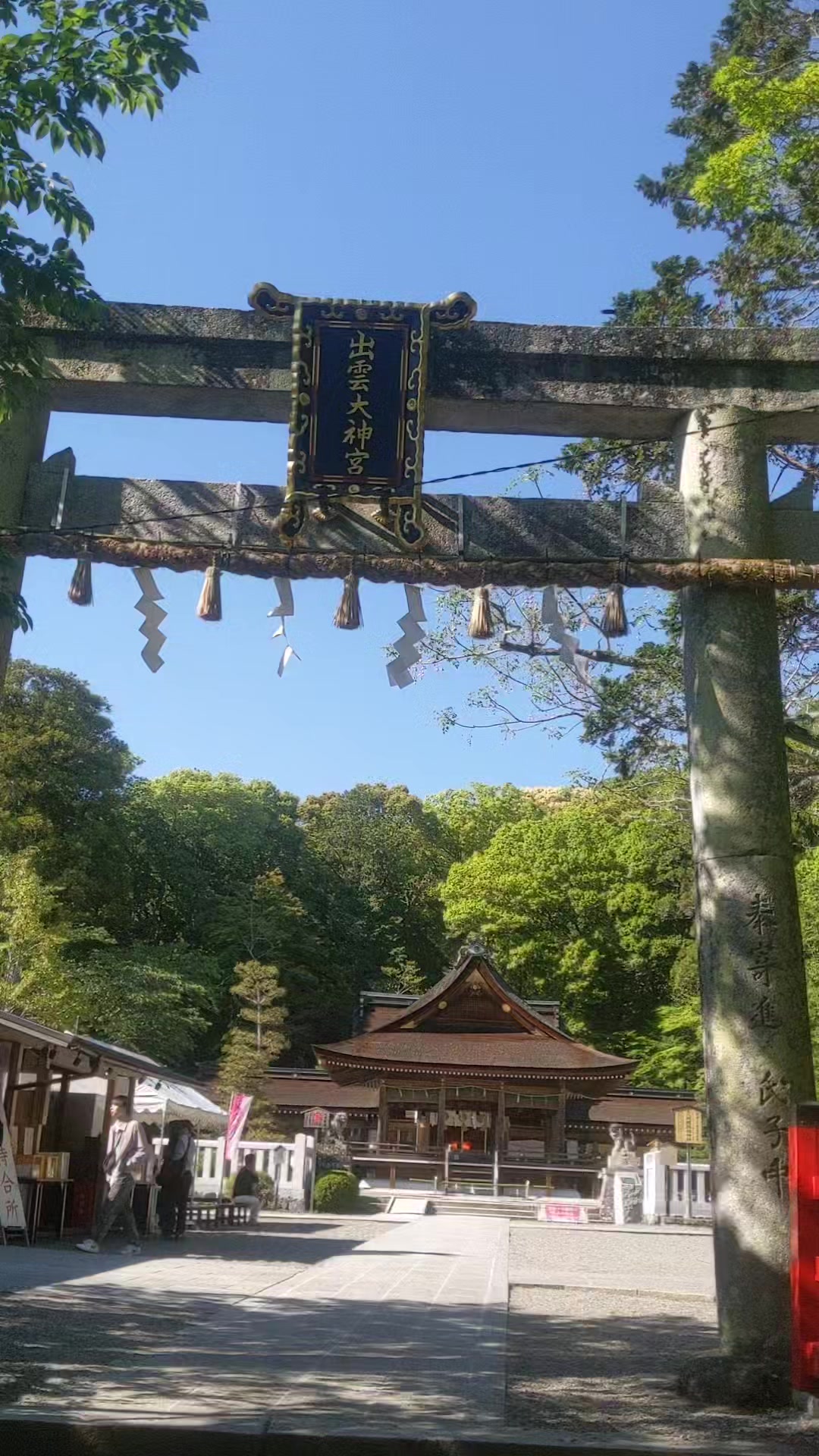@向日葵