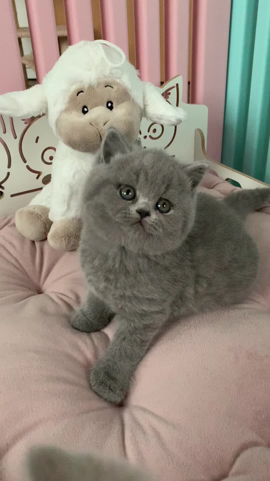 @oksana