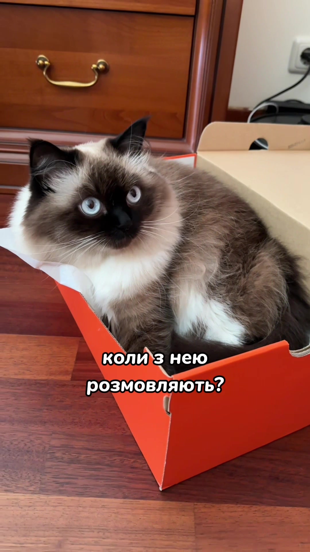 @Місс КІСЯ