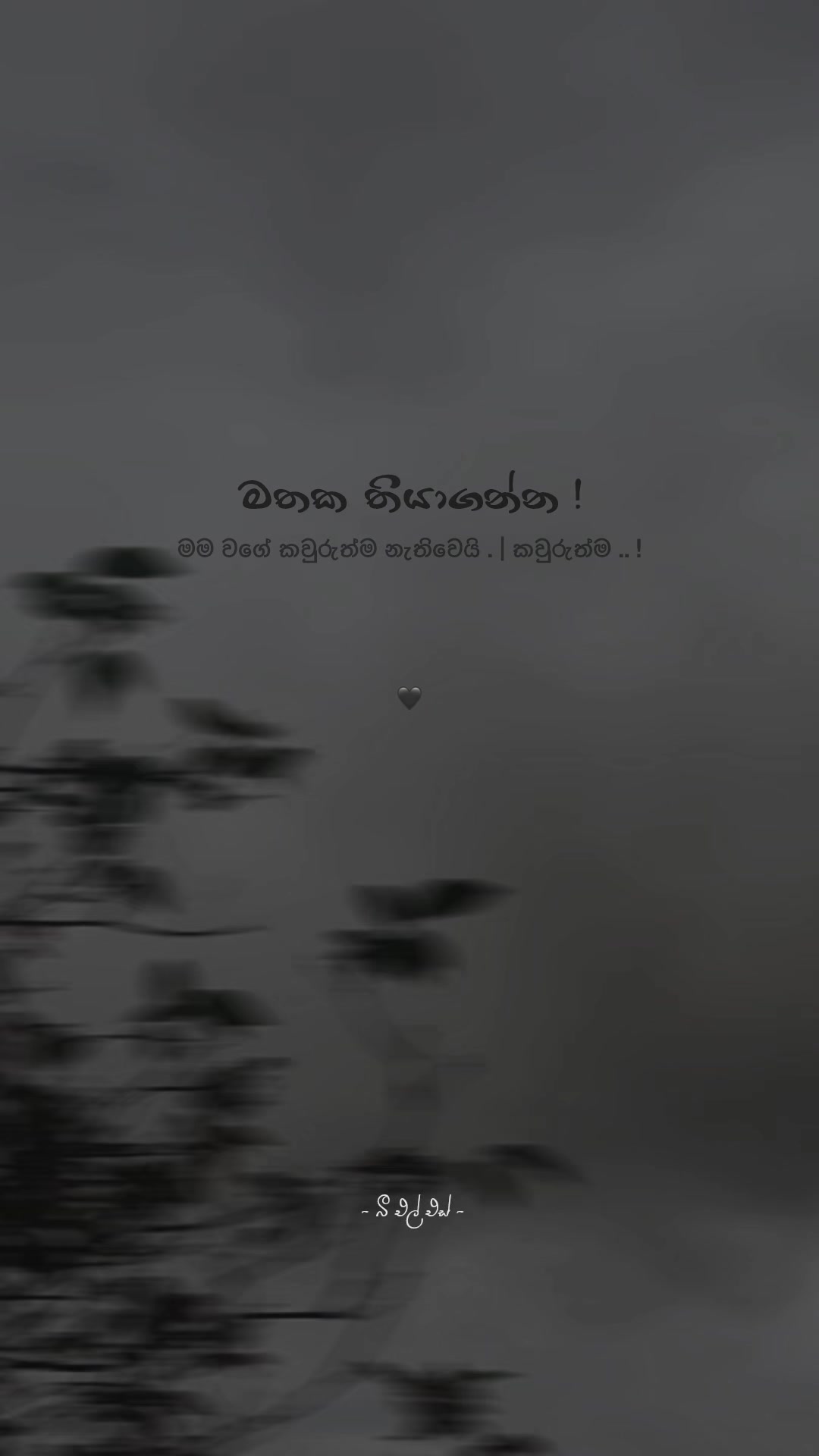 @𝒯𝒽𝑒 𝐵𝓁𝓈 ♡ !