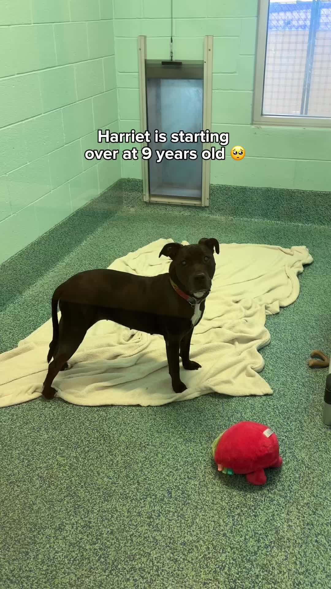 @pbhsnaples