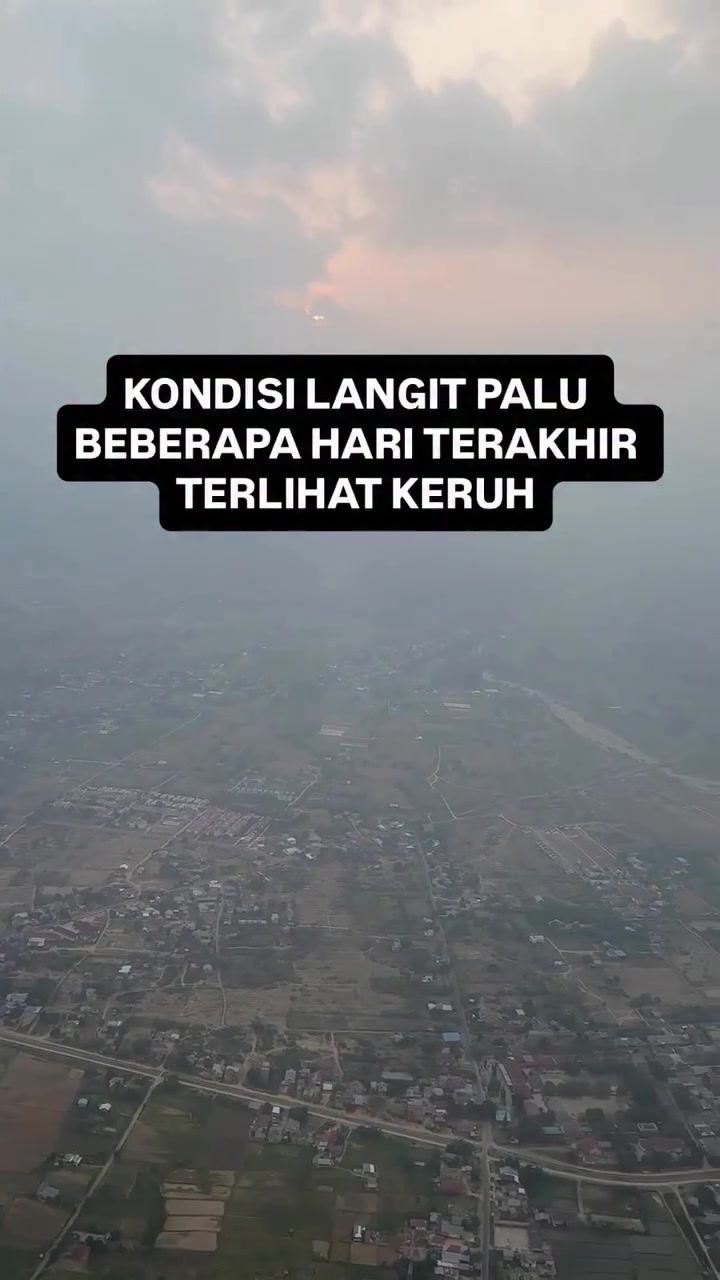 @soalpalu