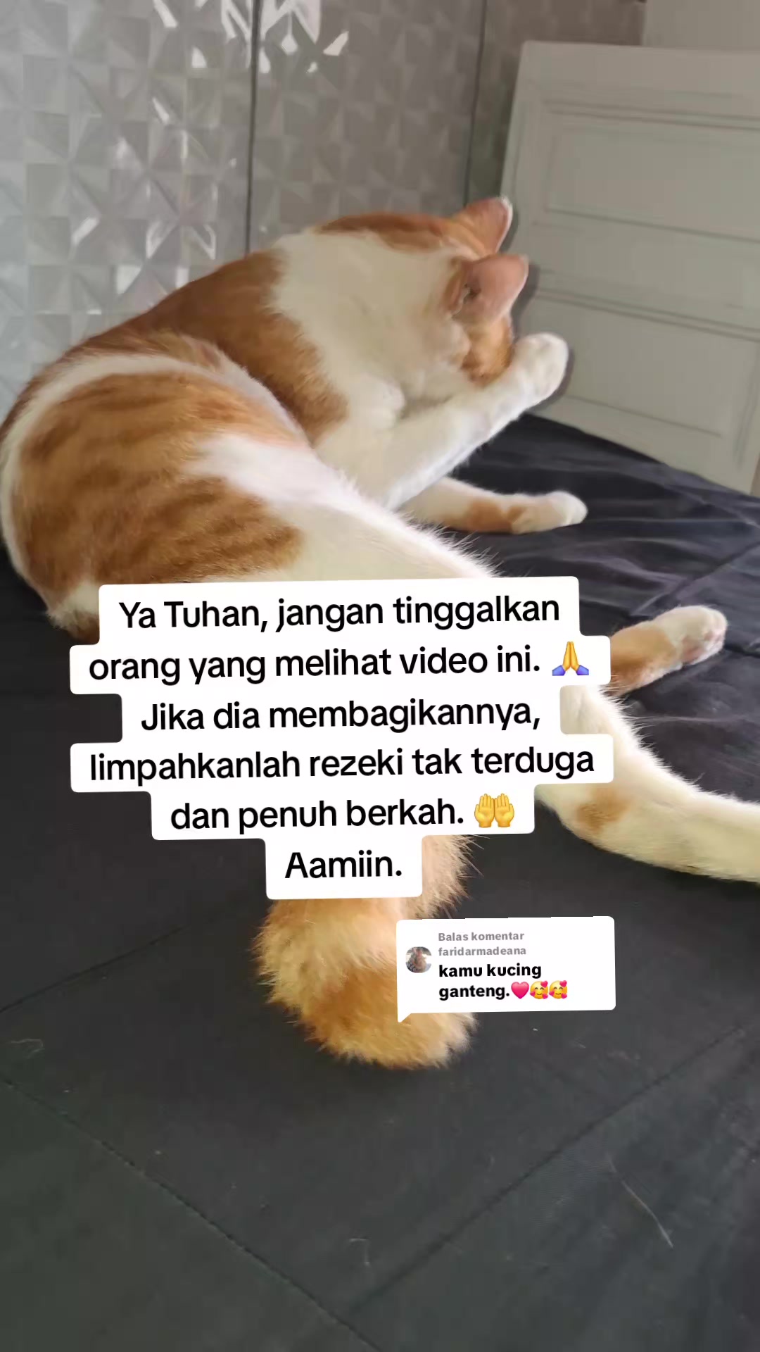@dymakulinerⓂ️