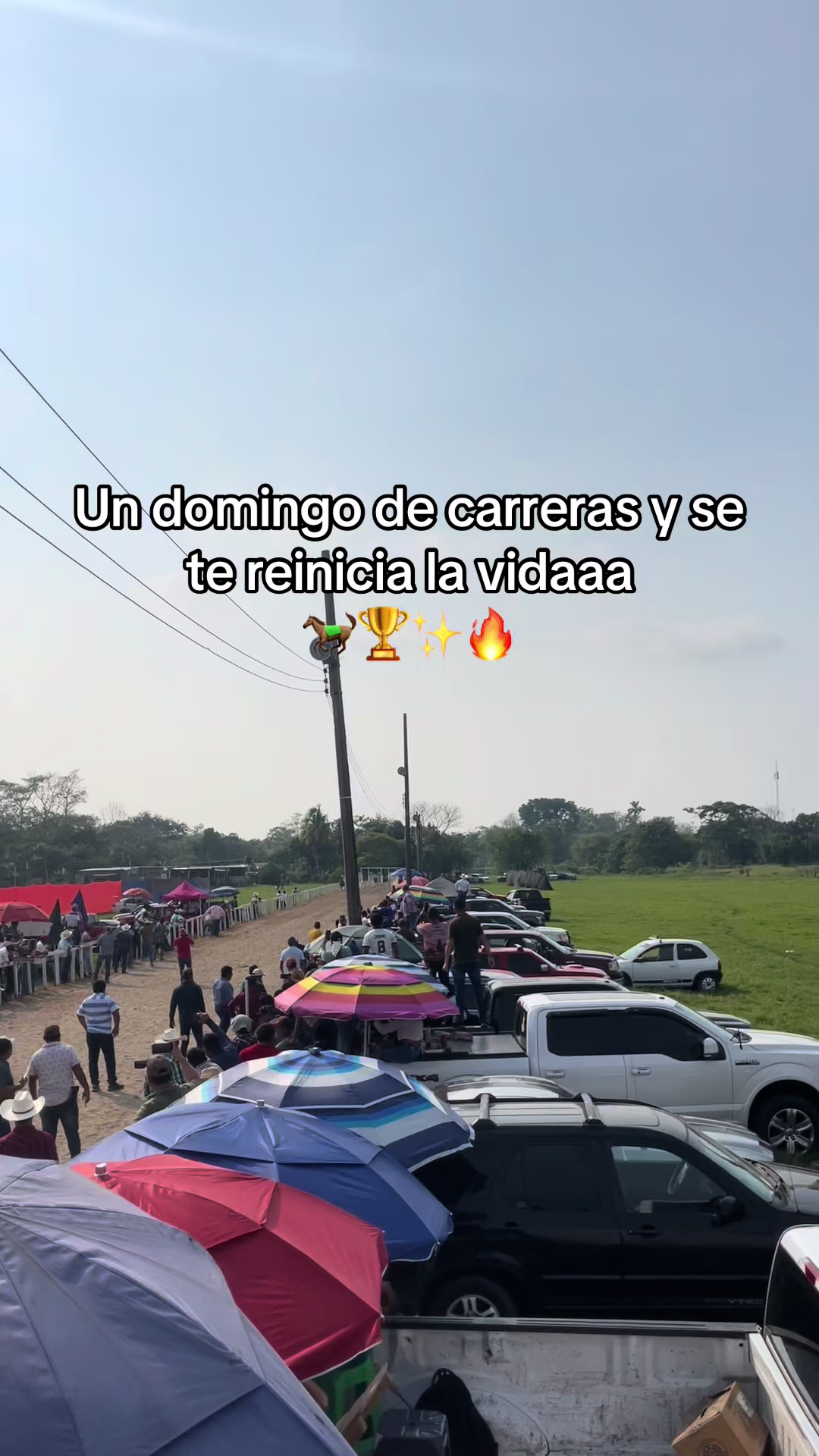 @anapaola088🌺
