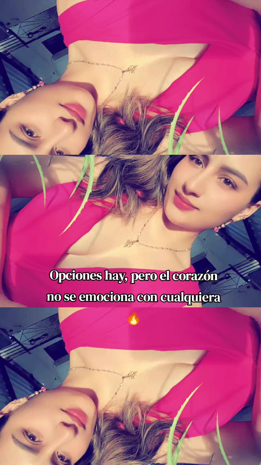 @Carolina Montiel •Te Sigue