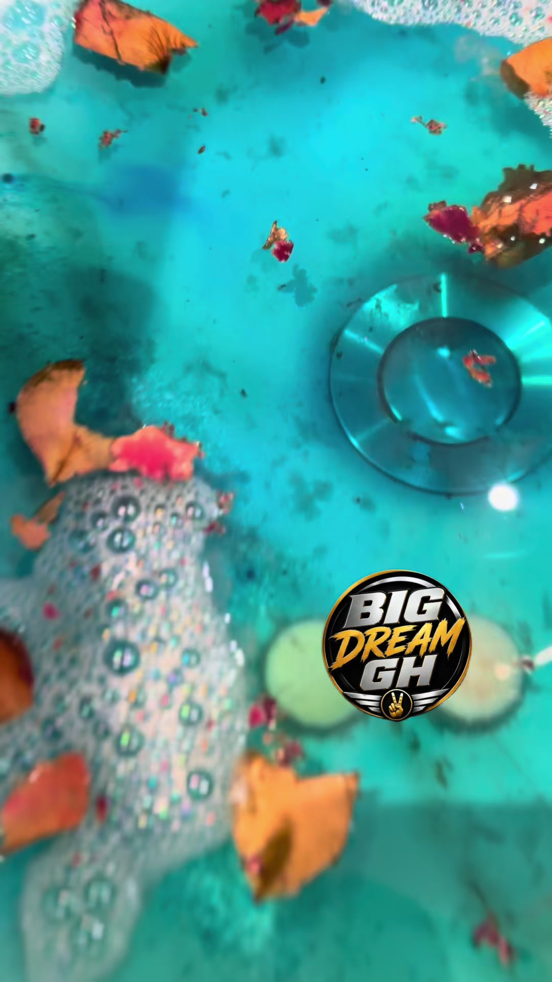 @BIG DREAM 🇬🇭🇺🇸