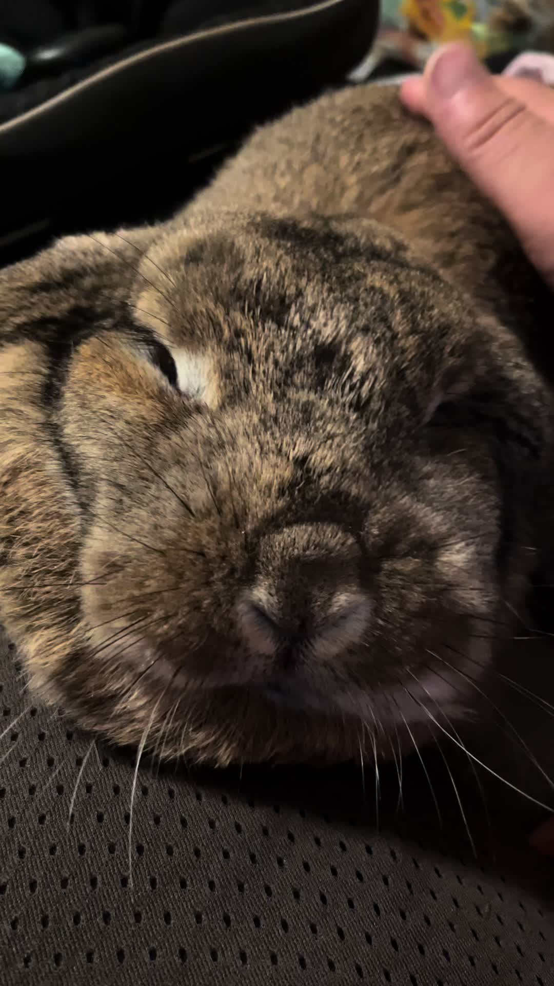 @Fadedbunny69