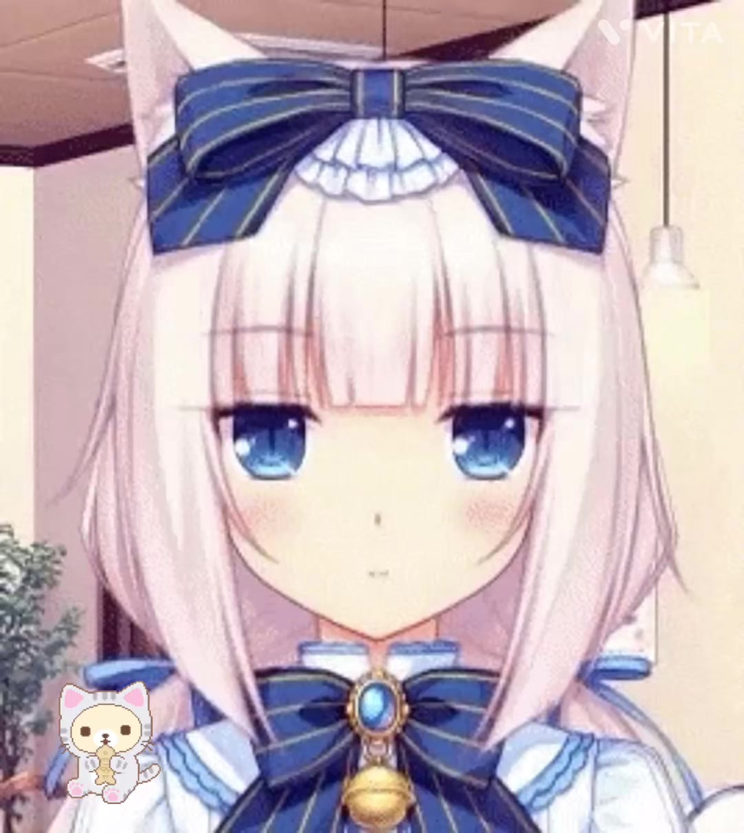 @猫 ෆ