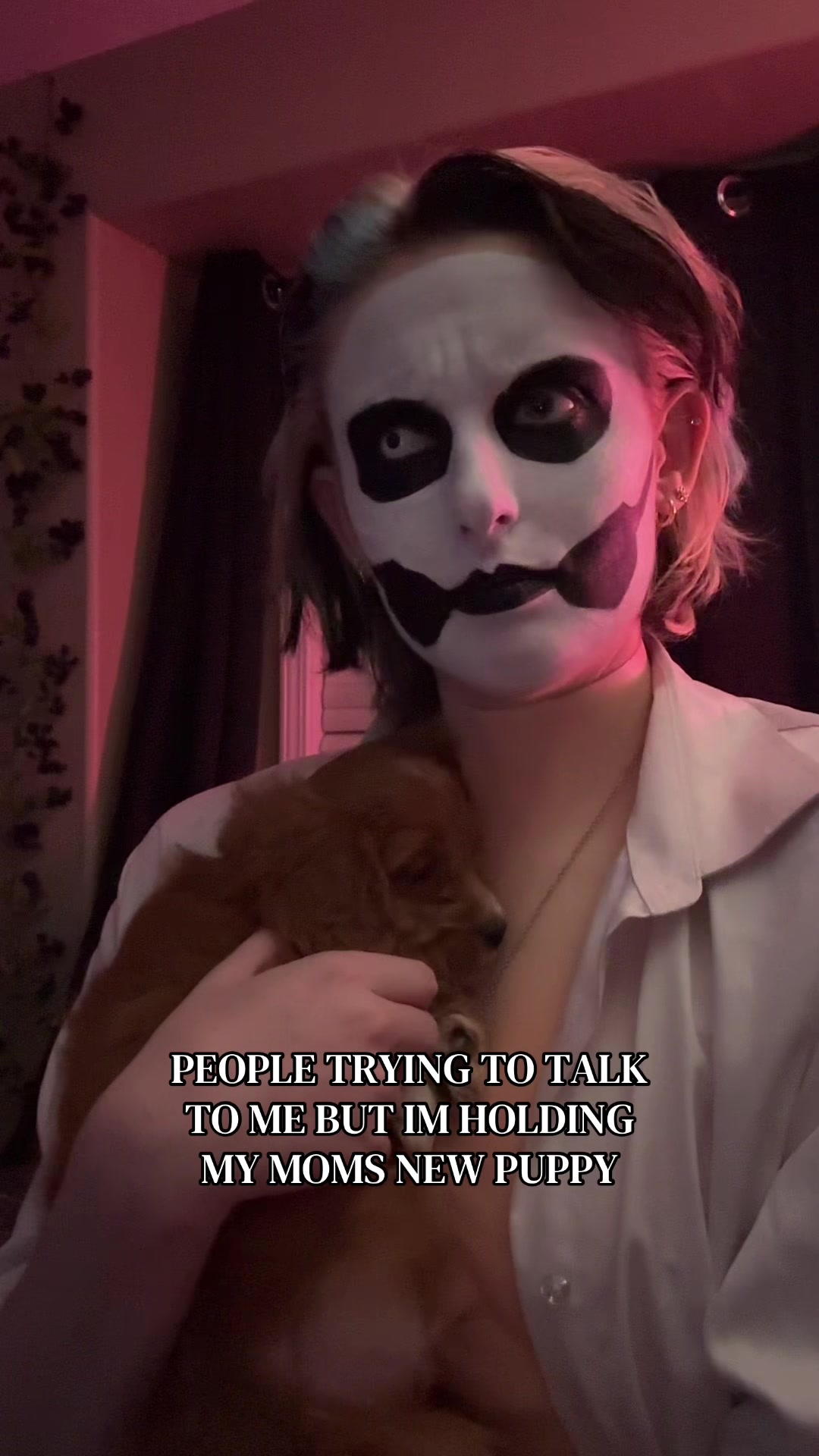 @typicallybites