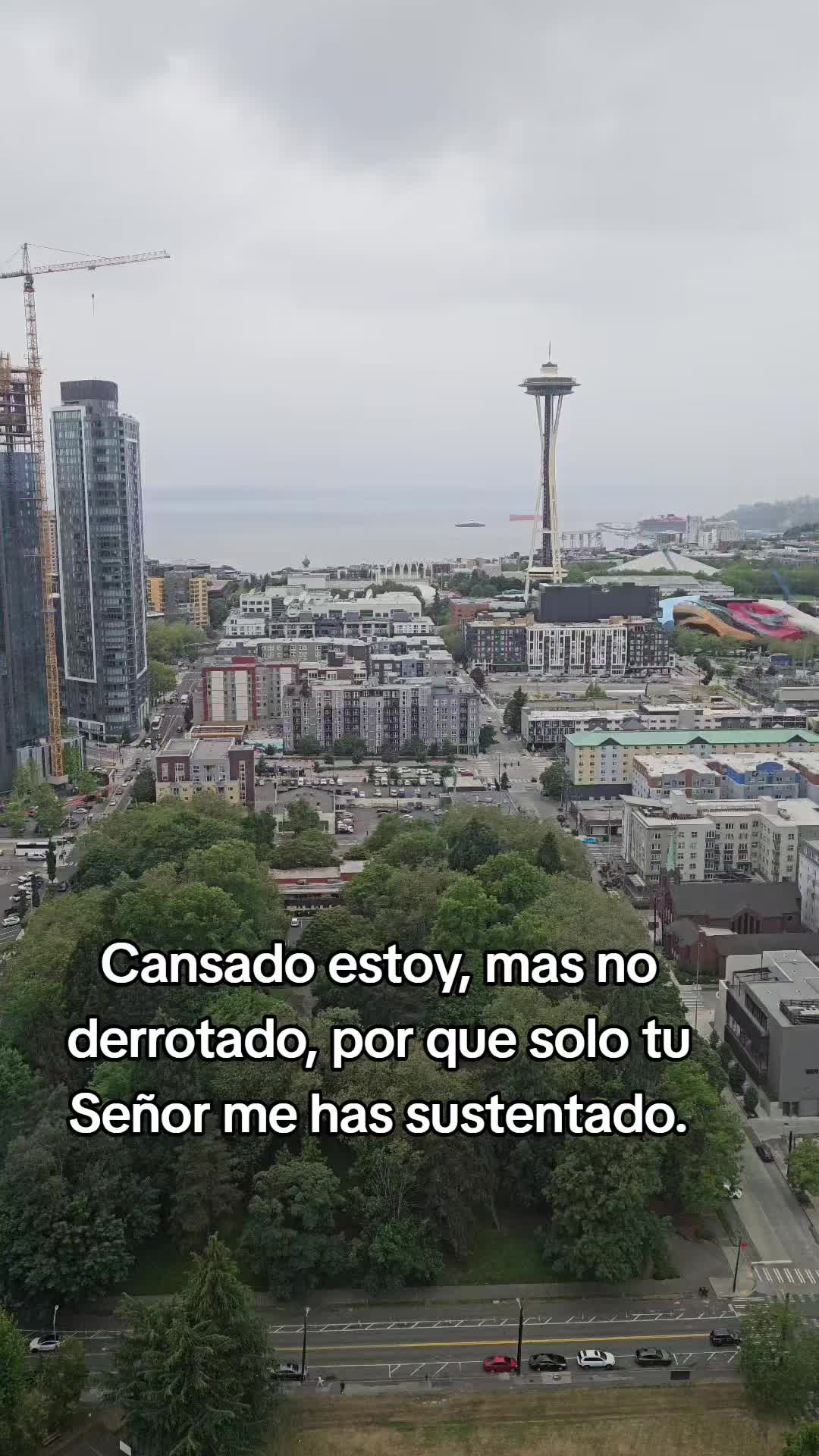 @manuelelvick🎶🕊