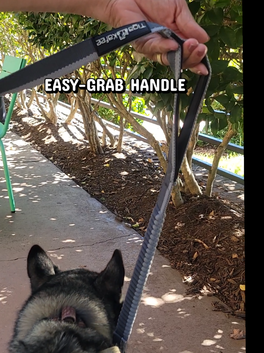 @the Hussey Husky