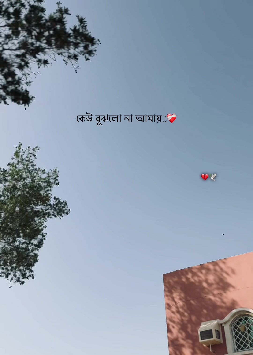 @𝐒𝐈 𝐘 𝐀𝐌 